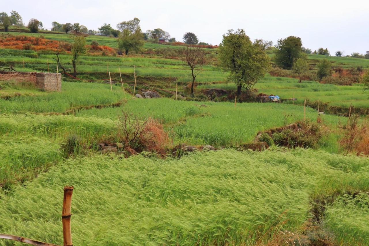 Raahi Stay, Landing Site Bir - Stay & Cafe Buitenkant foto