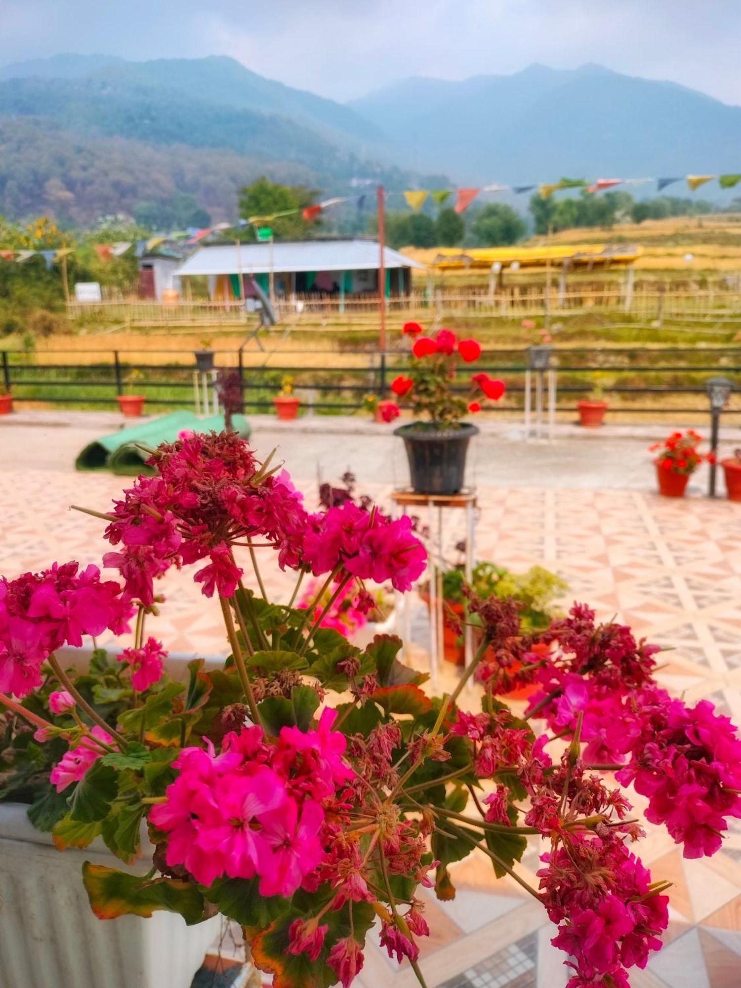 Raahi Stay, Landing Site Bir - Stay & Cafe Buitenkant foto